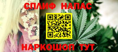 МДПВ Жуковский