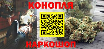 стаф Заводоуковск