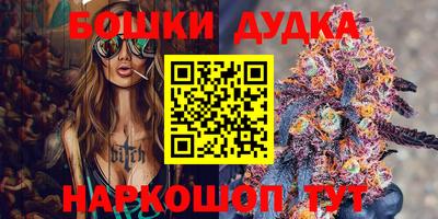 стаф Заводоуковск